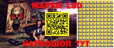 apvp Канаш