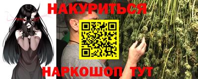 apvp Канаш