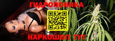 jwh Камышлов